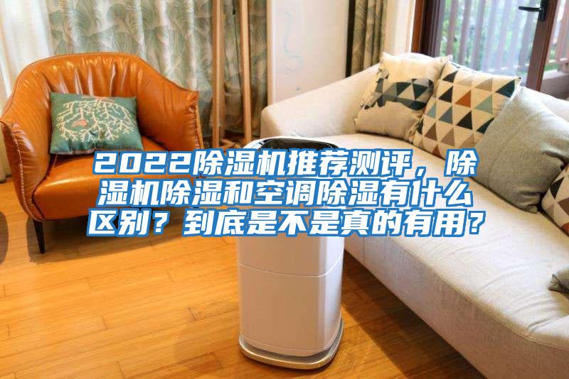 2022除濕機推薦測評，除濕機除濕和空調除濕有什么區別？到底是不是真的有用？