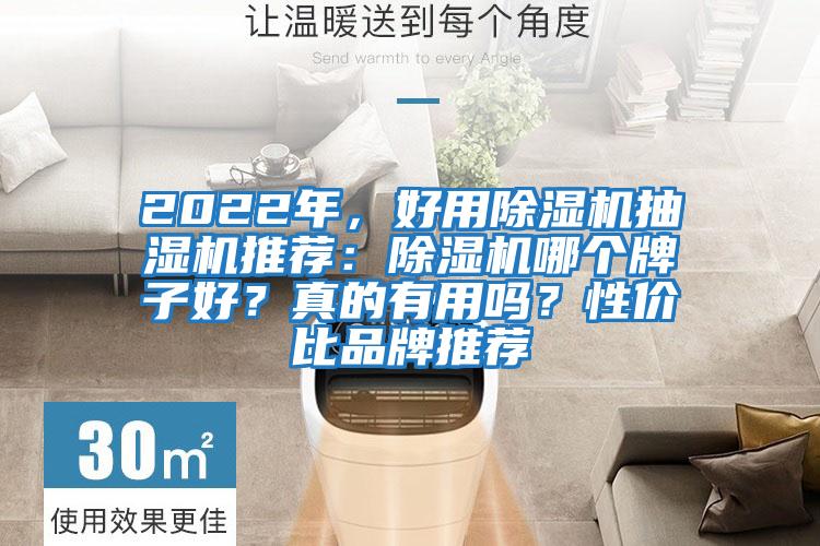 2022年，好用除濕機抽濕機推薦：除濕機哪個牌子好？真的有用嗎？性價比品牌推薦