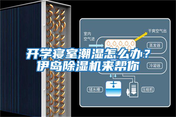 開學(xué)寢室潮濕怎么辦?伊島除濕機來幫你