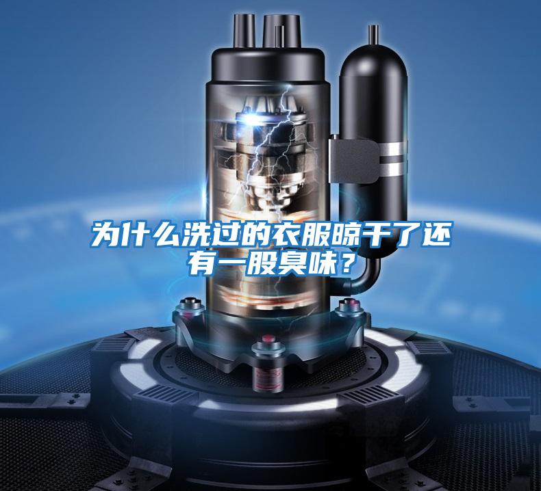 為什么洗過的衣服晾干了還有一股臭味?