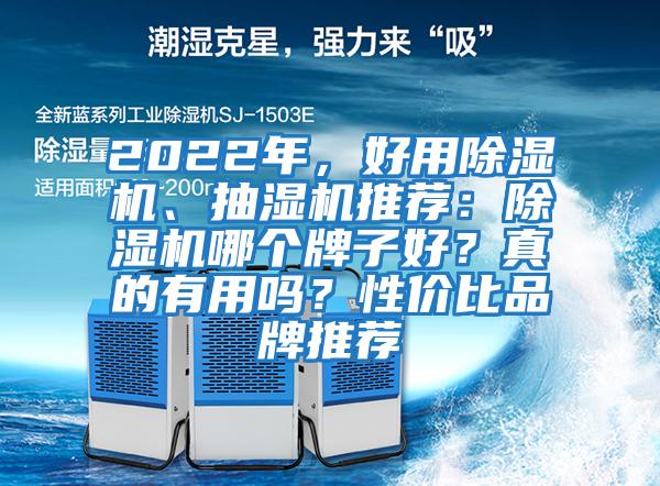 2022年，好用除濕機、抽濕機推薦：除濕機哪個牌子好？真的有用嗎？性價比品牌推薦