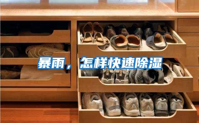 暴雨，怎樣快速除濕