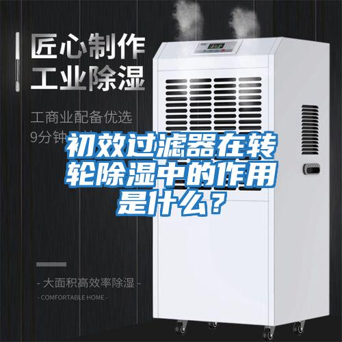 初效過濾器在轉輪除濕中的作用是什么？