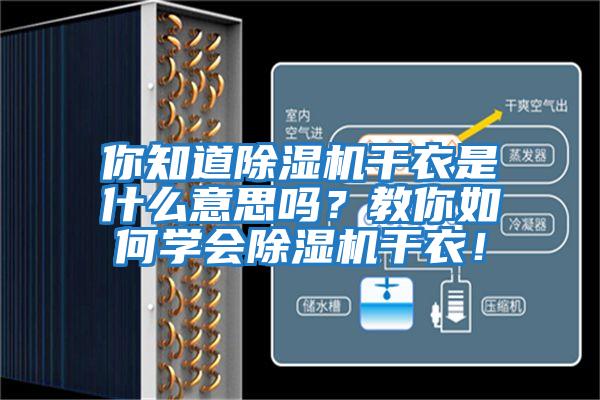你知道除濕機干衣是什么意思嗎？教你如何學會除濕機干衣！