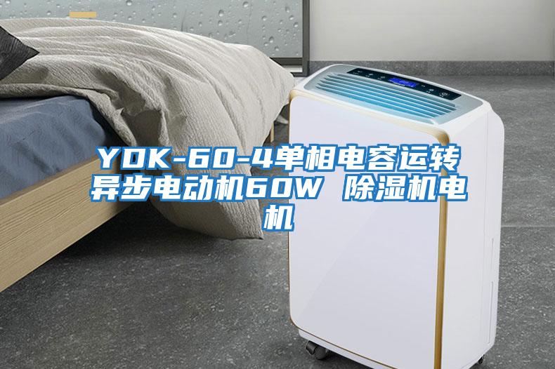 YDK-60-4單相電容運轉異步電動機60W 除濕機電機