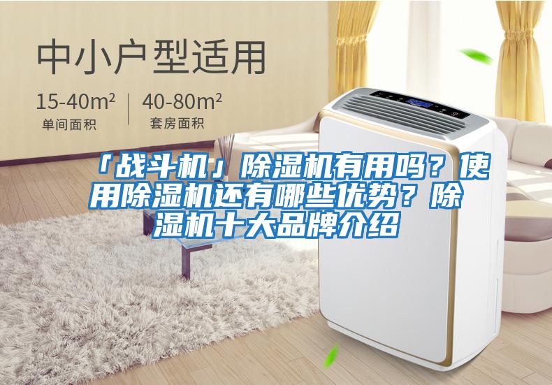 「戰斗機」除濕機有用嗎？使用除濕機還有哪些優勢？除濕機十大品牌介紹