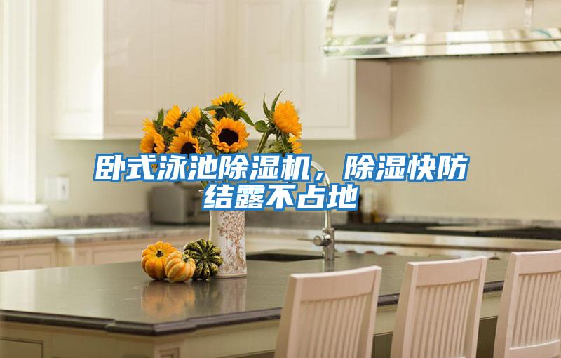 臥式泳池除濕機，除濕快防結露不占地