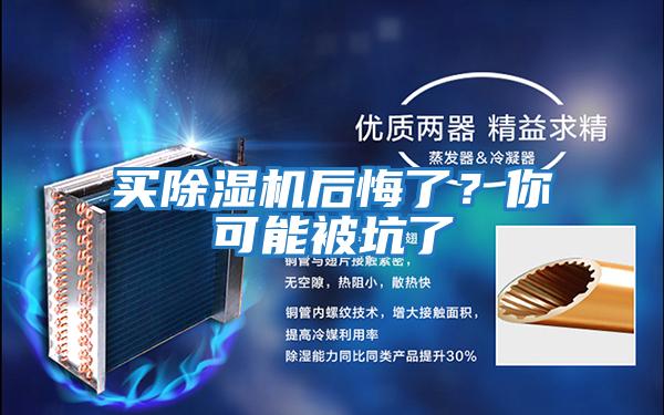 買(mǎi)除濕機(jī)后悔了?你可能被坑了