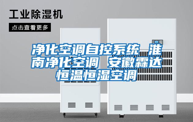 凈化空調自控系統(tǒng) 淮南凈化空調 安徽霖達恒溫恒濕空調