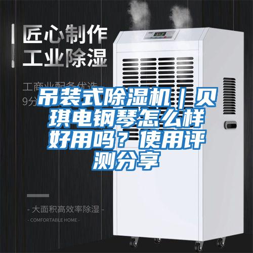 吊裝式除濕機|貝琪電鋼琴怎么樣好用嗎?使用評測分享