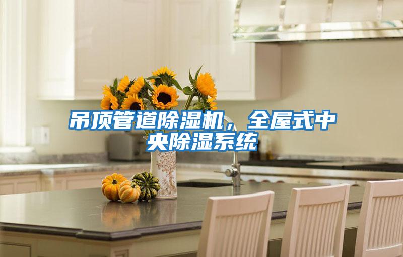 吊頂管道除濕機，全屋式中央除濕系統(tǒng)