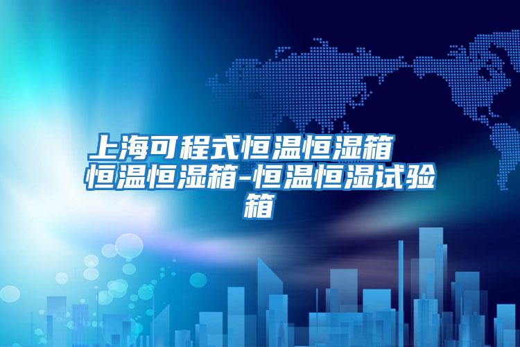 上?？沙淌胶銣睾銤裣? 恒溫恒濕箱-恒溫恒濕試驗(yàn)箱