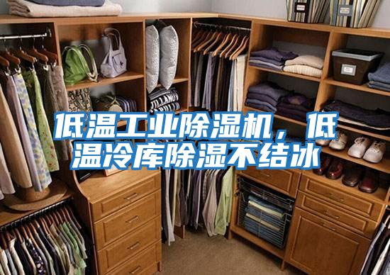 低溫工業除濕機,低溫冷庫除濕不結冰