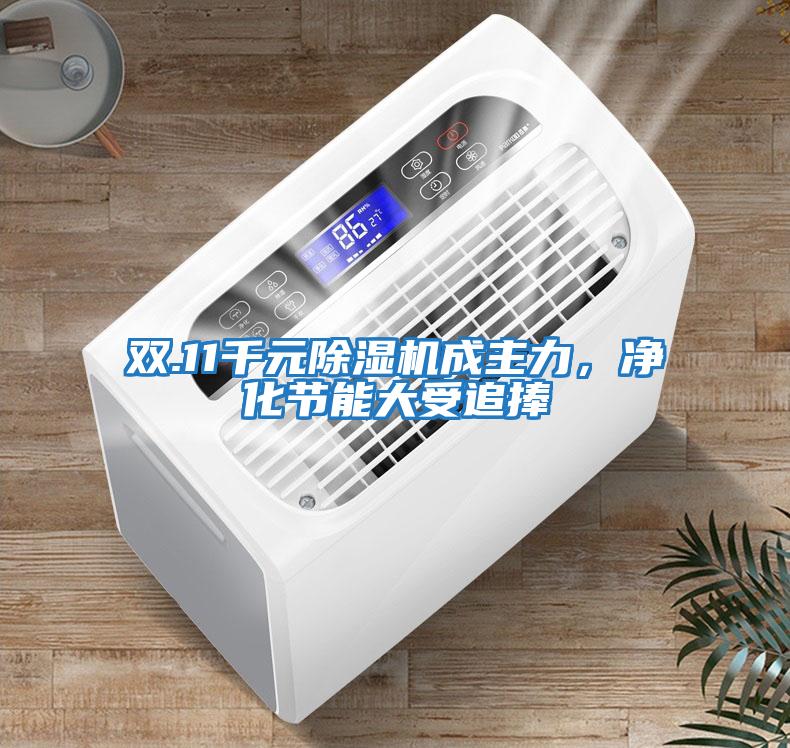 雙.11千元除濕機(jī)成主力，凈化節(jié)能大受追捧