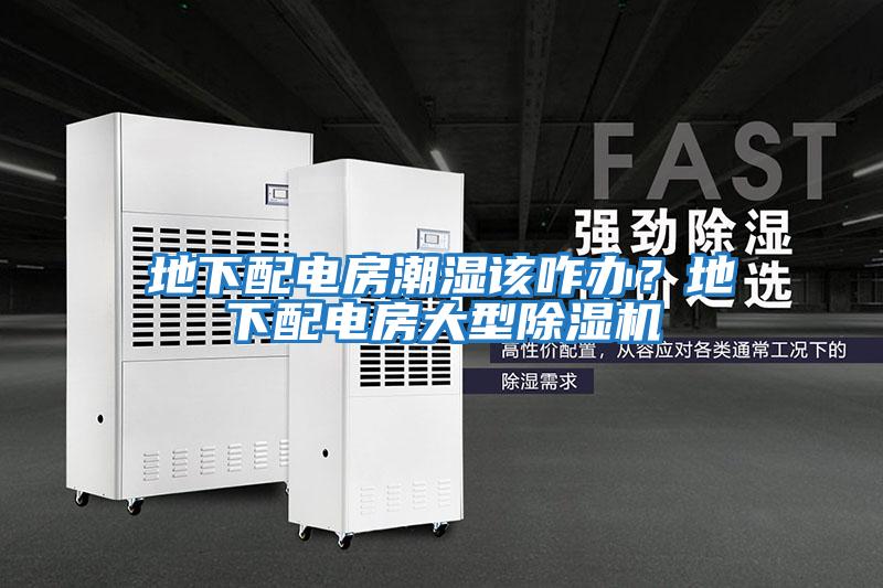 地下配電房潮濕該咋辦？地下配電房大型除濕機