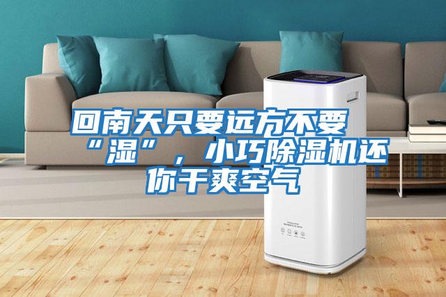 回南天只要遠方不要“濕”，小巧除濕機還你干爽空氣