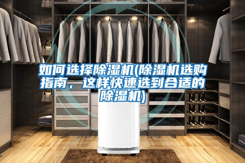 如何選擇除濕機(除濕機選購指南,這樣快速選到合適的除濕機)