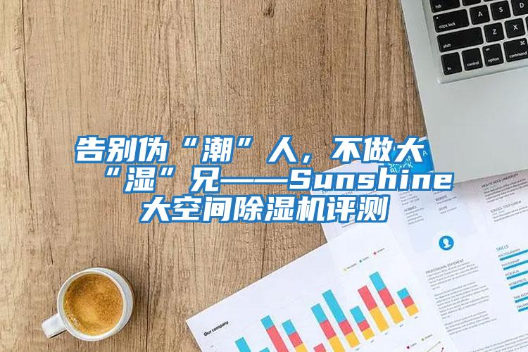告別偽“潮”人，不做大“濕”兄——Sunshine大空間除濕機評測