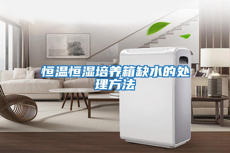 恒溫恒濕培養箱缺水的處理方法