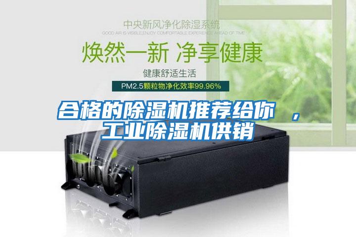 合格的除濕機推薦給你 ，工業除濕機供銷