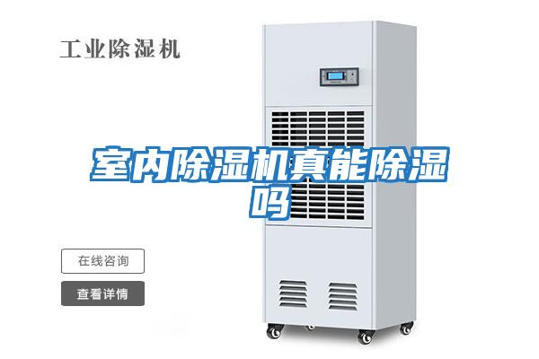 室內除濕機真能除濕嗎