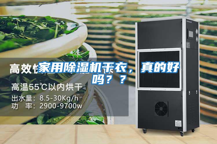 家用除濕機干衣，真的好嗎？？