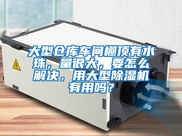 大型倉庫車間棚頂有水珠，量很大，要怎么解決，用大型除濕機有用嗎？