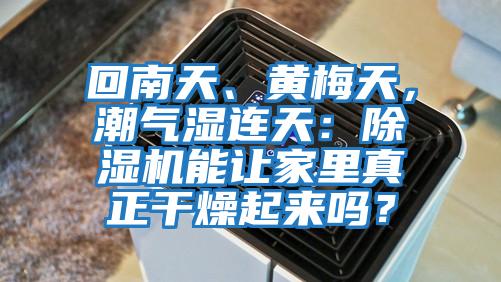 回南天、黃梅天，潮氣濕連天：除濕機能讓家里真正干燥起來嗎？
