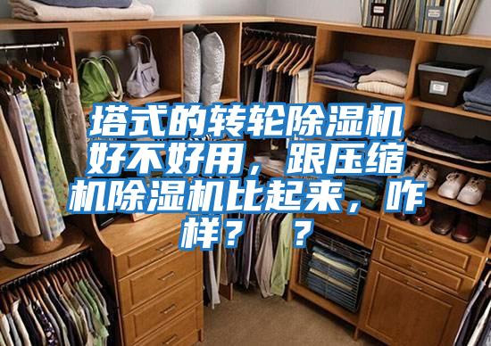 塔式的轉輪除濕機好不好用,跟壓縮機除濕機比起來,咋樣? ?