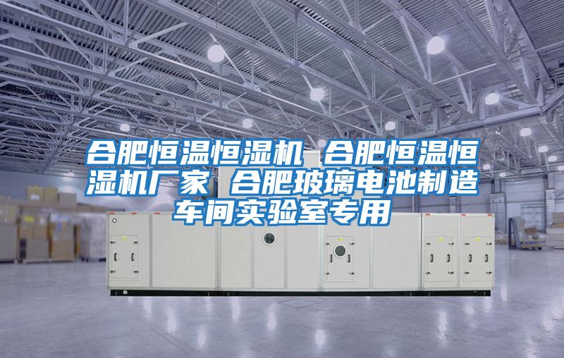 合肥恒溫恒濕機(jī) 合肥恒溫恒濕機(jī)廠家 合肥玻璃電池制造車(chē)間實(shí)驗(yàn)室專(zhuān)用