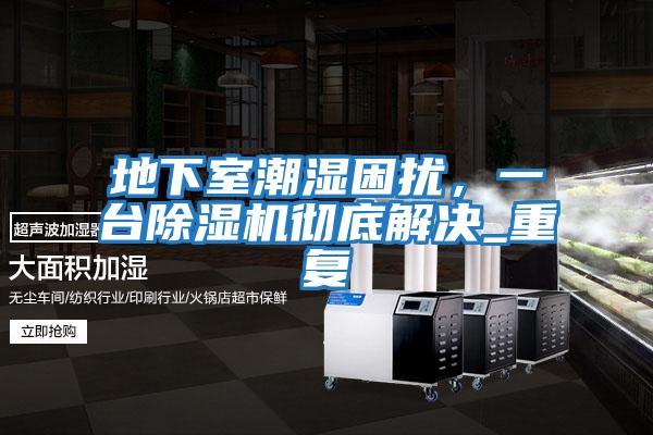 地下室潮濕困擾,一臺除濕機(jī)徹底解決_重復(fù)