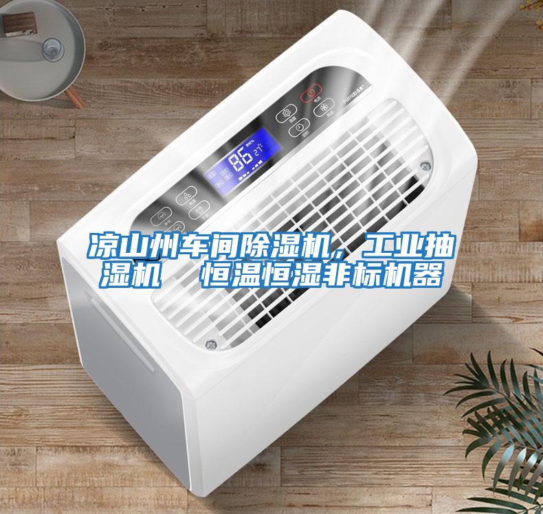 涼山州車間除濕機(jī)，工業(yè)抽濕機(jī)  恒溫恒濕非標(biāo)機(jī)器