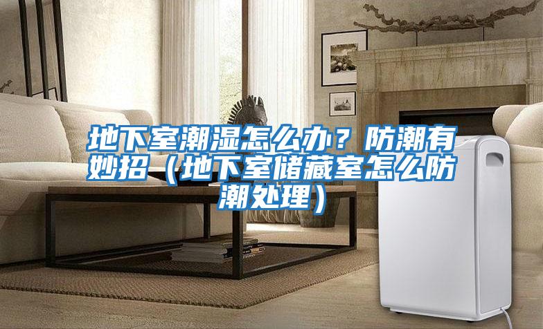 地下室潮濕怎么辦？防潮有妙招（地下室儲藏室怎么防潮處理）