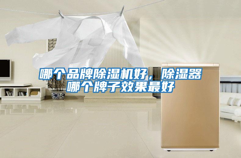 哪個品牌除濕機好，除濕器哪個牌子效果最好