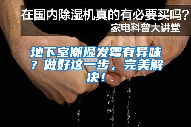 地下室潮濕發霉有異味？做好這一步，完美解決！