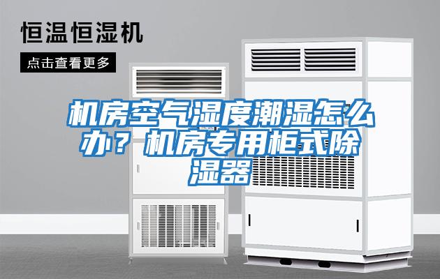 機房空氣濕度潮濕怎么辦？機房專用柜式除濕器