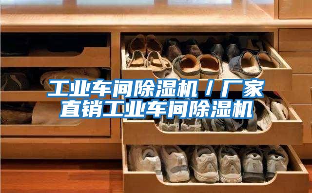 工業(yè)車(chē)間除濕機(jī)／廠家直銷(xiāo)工業(yè)車(chē)間除濕機(jī)