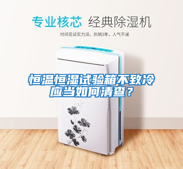 恒溫恒濕試驗箱不致冷應當如何清查？
