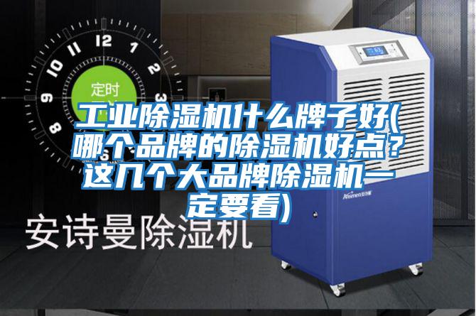 工業除濕機什么牌子好(哪個品牌的除濕機好點？這幾個大品牌除濕機一定要看)