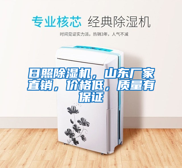 日照除濕機(jī),山東廠家直銷,價(jià)格低,質(zhì)量有保證