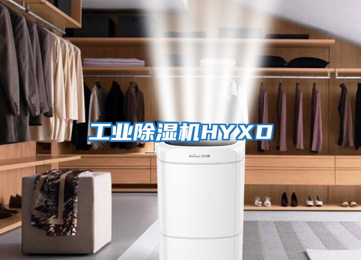 工業除濕機HYXD
