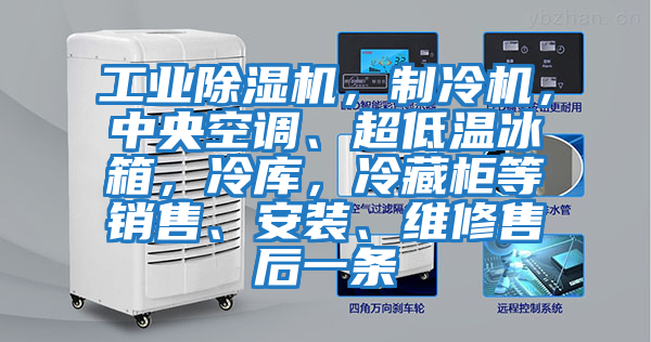 工業除濕機，制冷機，中央空調、超低溫冰箱，冷庫，冷藏柜等銷售、安裝、維修售后一條