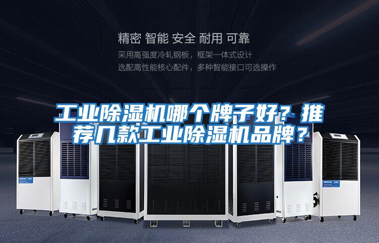 工業(yè)除濕機(jī)哪個牌子好？推薦幾款工業(yè)除濕機(jī)品牌？