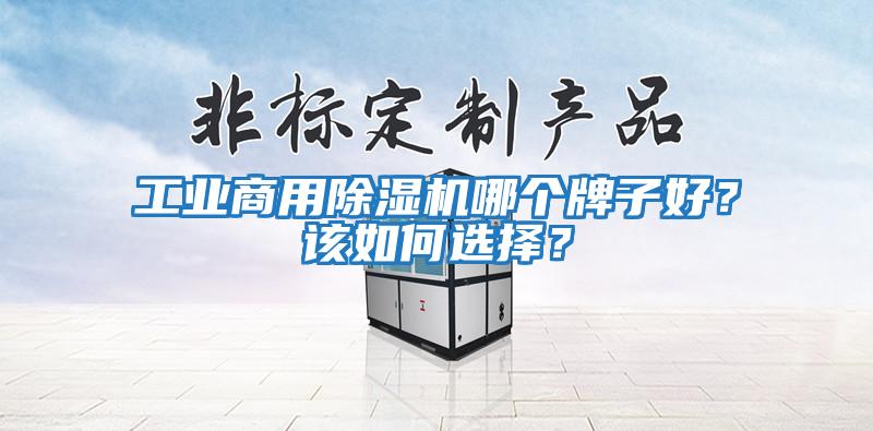 工業(yè)商用除濕機(jī)哪個(gè)牌子好?該如何選擇?