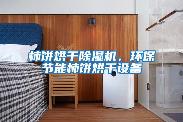 柿餅烘干除濕機,環(huán)保節(jié)能柿餅烘干設(shè)備