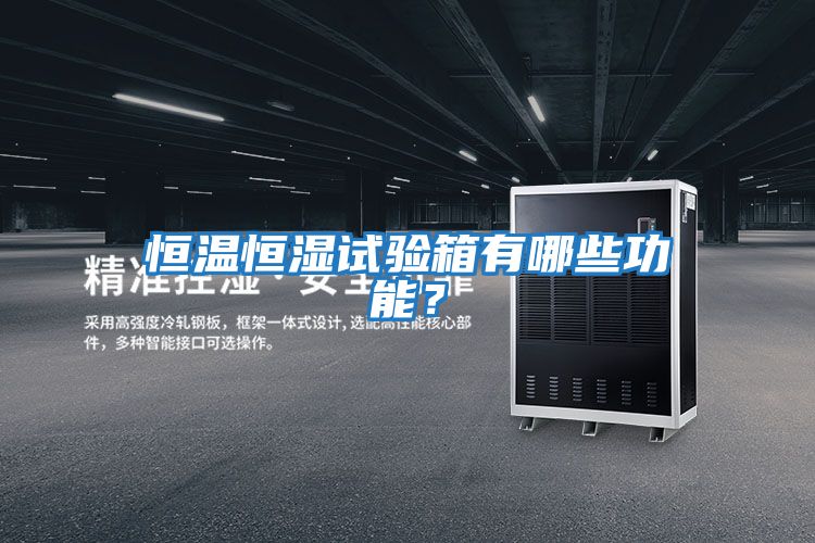 恒溫恒濕試驗(yàn)箱有哪些功能?