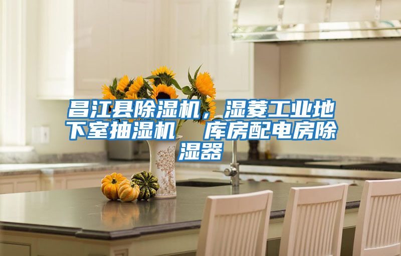 昌江縣除濕機(jī)，濕菱工業(yè)地下室抽濕機(jī)  庫房配電房除濕器