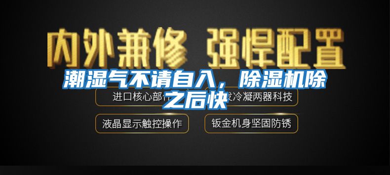 潮濕氣不請自入，除濕機除之后快