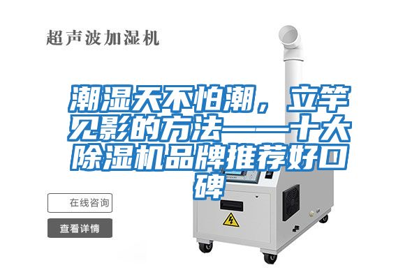 潮濕天不怕潮，立竿見影的方法——十大除濕機品牌推薦好口碑