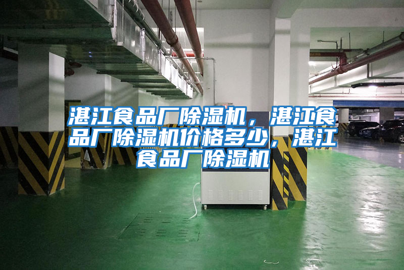 湛江食品廠除濕機，湛江食品廠除濕機價格多少，湛江食品廠除濕機